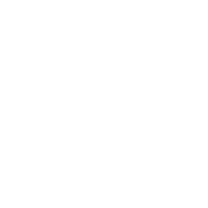 15 Internetportale